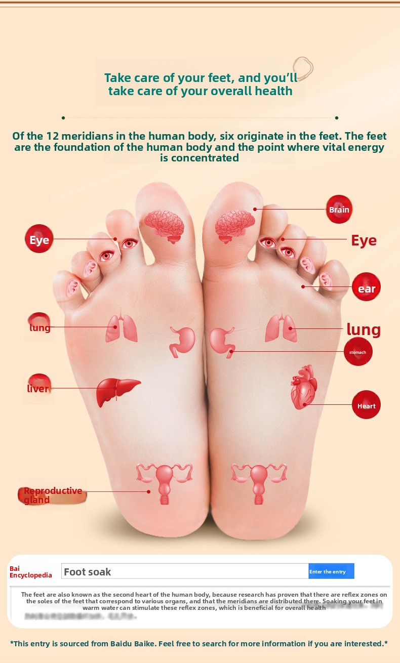 Foot reflexology chart