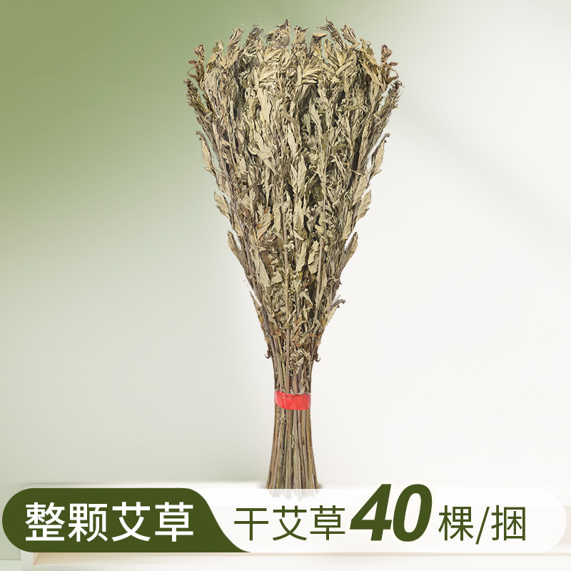 Source variant: bundle of 40 whole dried mugwort plants
