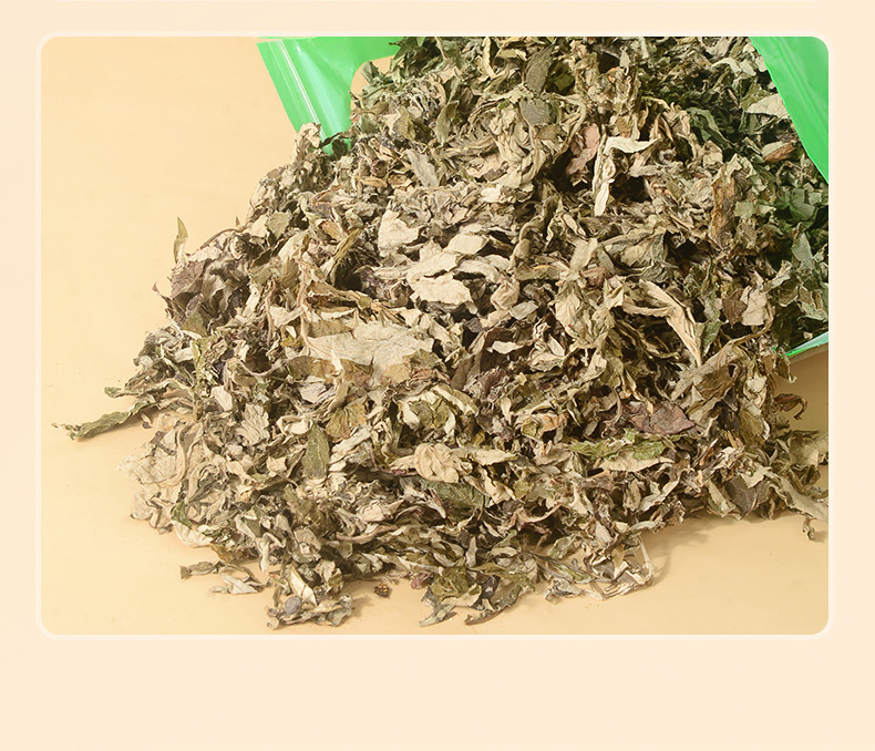 Pile of dried mugwort leaves